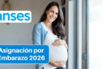 Asignación por Embarazo 2026: Un apoyo clave para las futuras mamás en Argentina